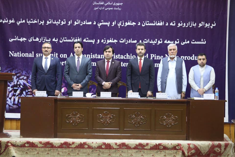 ۶.۶ میلیون نهال جلغوزه و۳.۵ میلیون نهال پسته