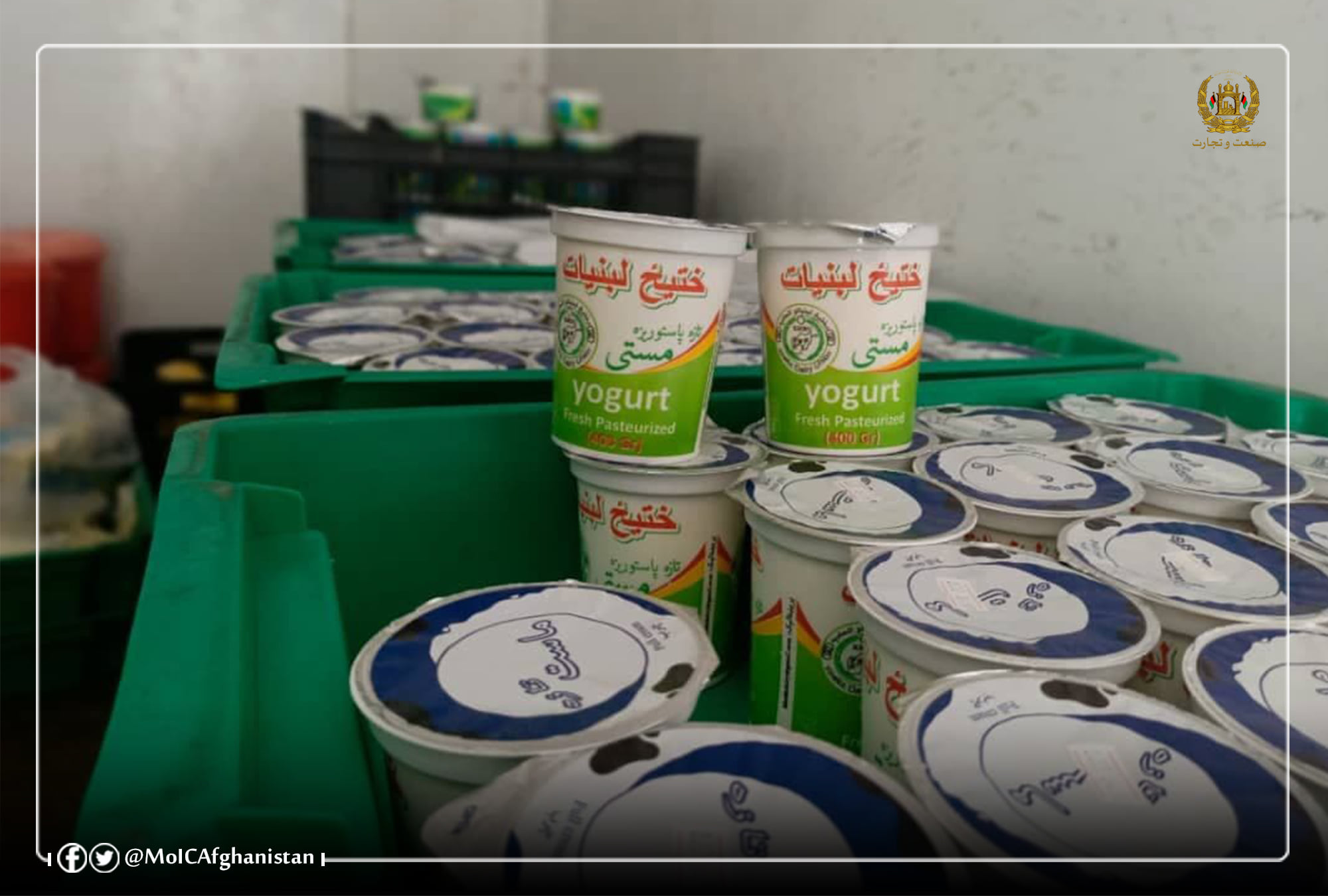 افزایش تولیدات لبنیات در ولایت ننگرهار