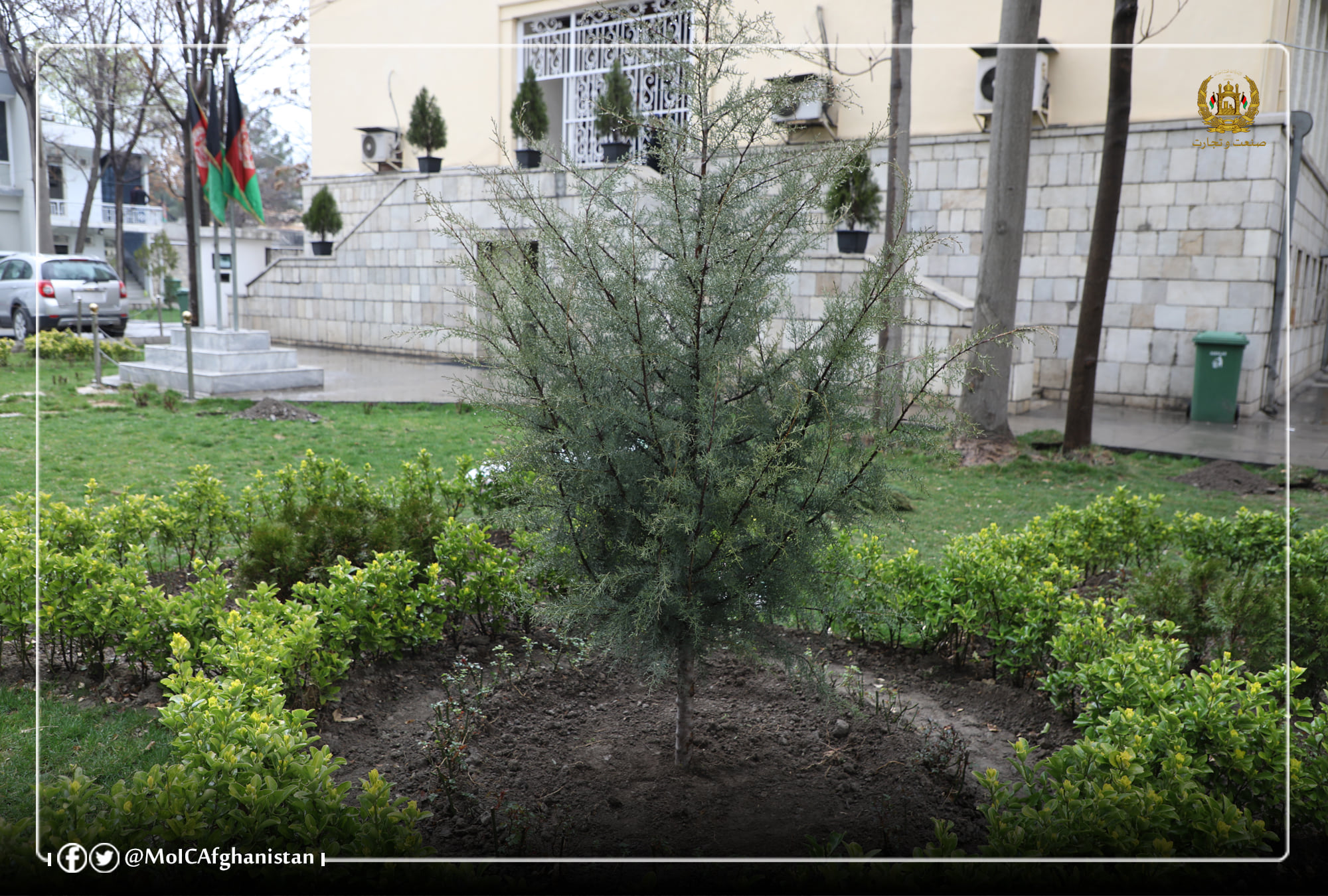 آغاز پروسه‌ی غرس نهال در وزارت صنعت و تجارت