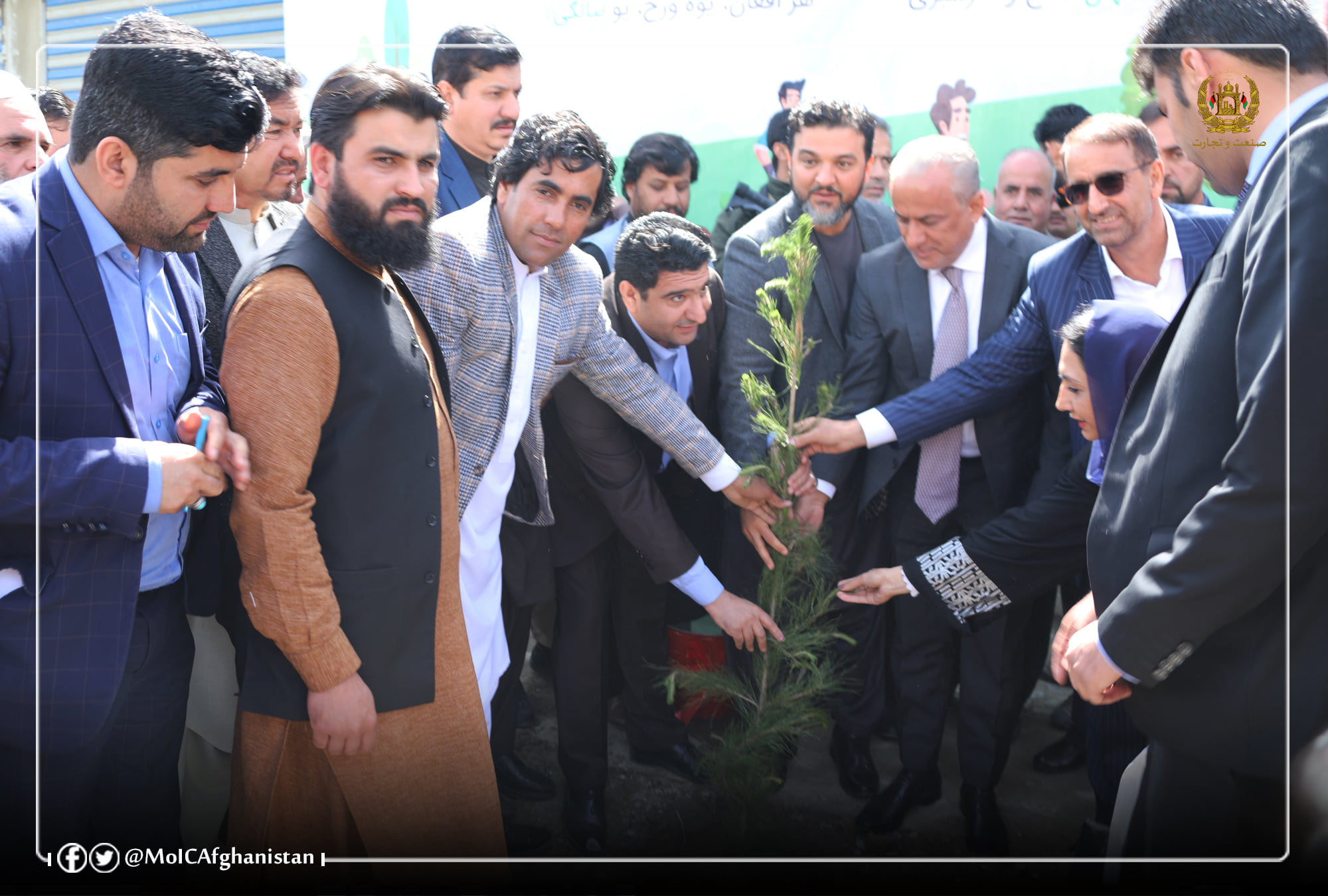 د کابل په پلچرخي صنعتي پارک کې د نيالګيو دکرلود پروسې پیل