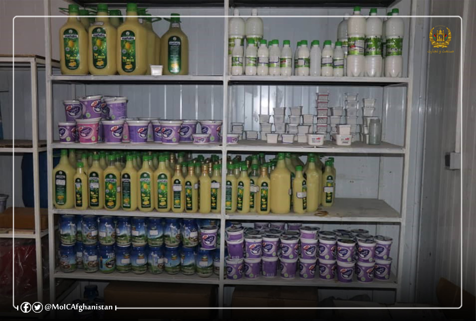 دهرات  ولایت دلبنیاتو په تولیدکې زیاتوالی