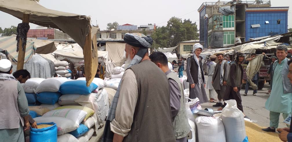 Consumer Protection, Prevention of Hoarding and Overselling Commission Visits Markets of Nangarhar, Bamyan, and Takhar Provinces