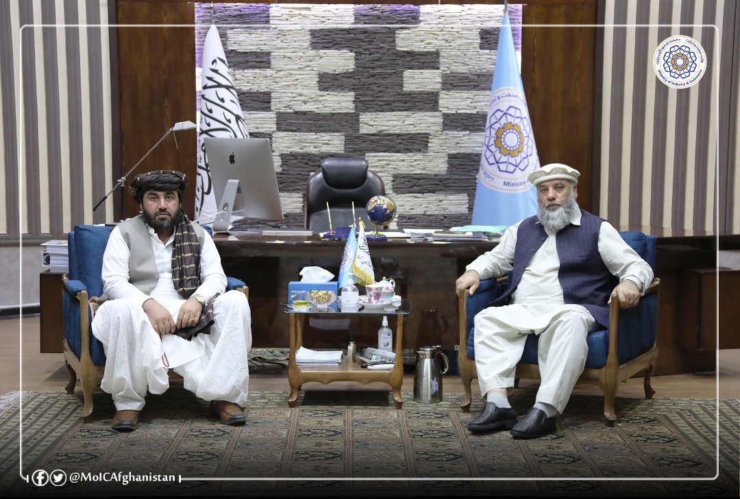 په هیواد کې د پانګونې د جلب او جذب هڅې