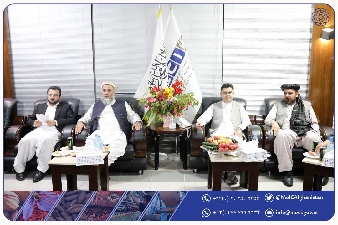 صنعت او سوداګرۍ سرپرست وزیر د هرات  ولایت د سوداګرۍ خونې له استازو سره وکتل