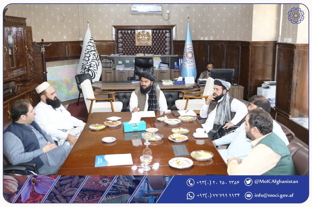 دیدار با سرمایه‌گذارانی افغان، برگشته از خارج