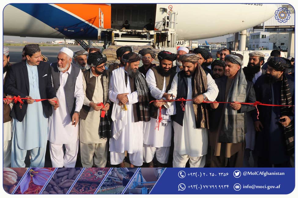 یک محموله ۲۰تنی جلغوزه به ارزش نیم‌میلیون دالر به کشور چین صادر شد