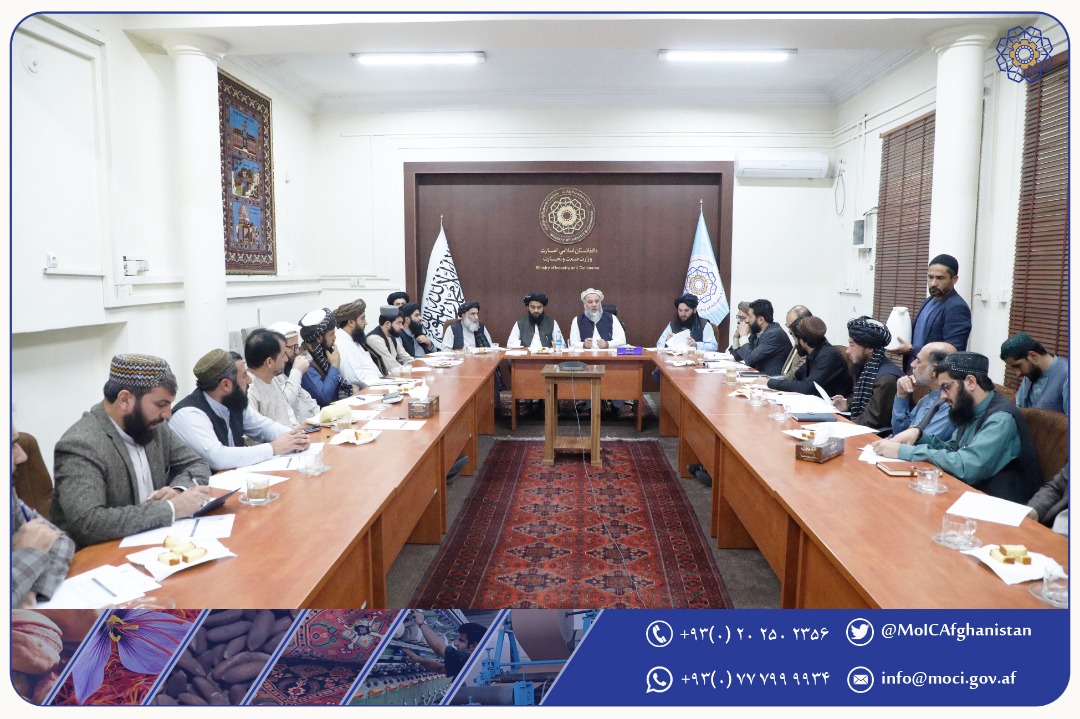 د بندرونو د ملي کمېټې د طرزالعمل د طرحې په اړه مشورتي غونډه