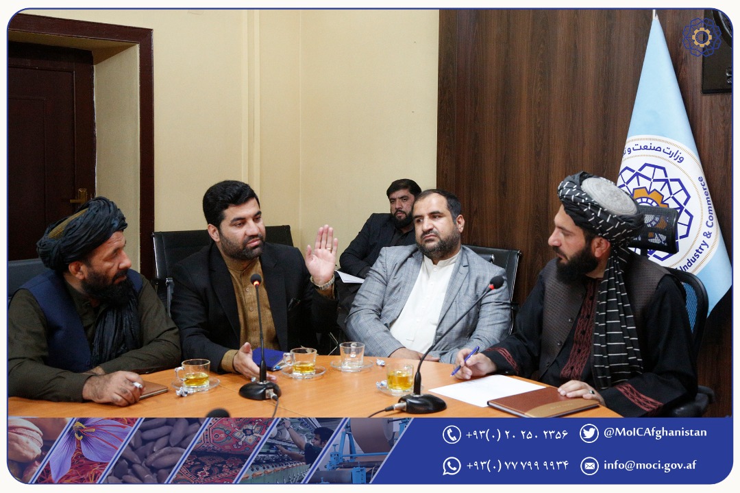 دیدار رئیس عمومی پارک‌های صنعتی با سکتورهای پاپوش و تولید کیبل