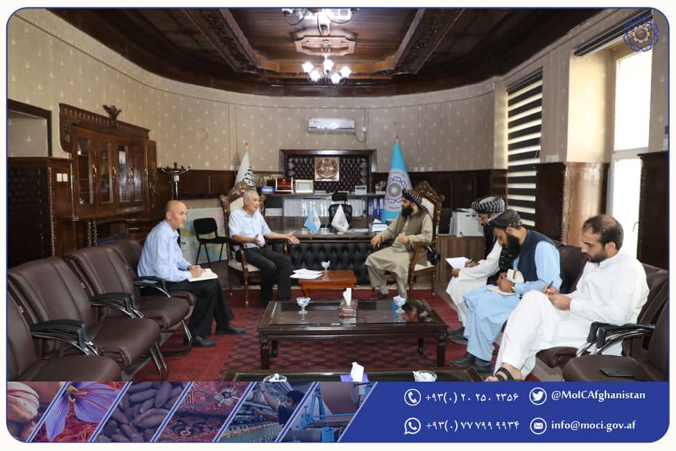 د ازبکستان سفیر د سوداګرۍ وزارت له مرستیال سره لیدنه ترسره کړه