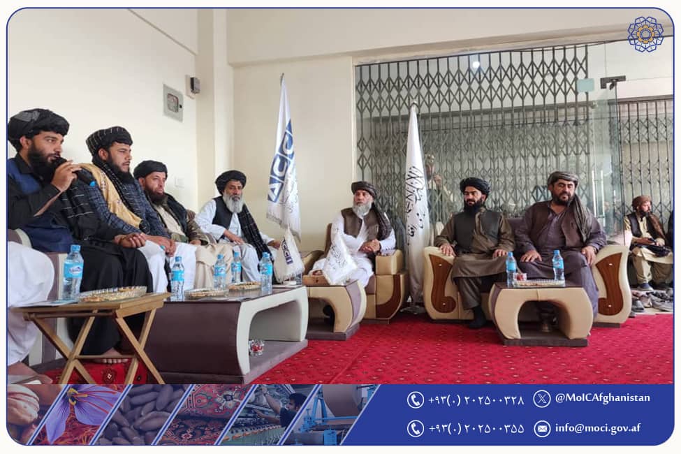 دیدار سرپرست وزارت صنعت در رأس یک هیئت با مسئولین اتاق تجارت سپین بولدک