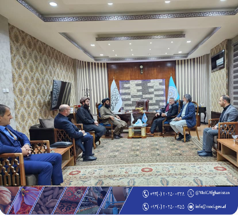 دیدار با تعداد از سرمایه‌گذاران ملی جمهوری ترکیه