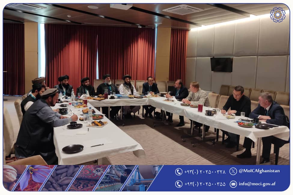 دیدار با شرکتهای بزرگ تاتارستان و روسیه