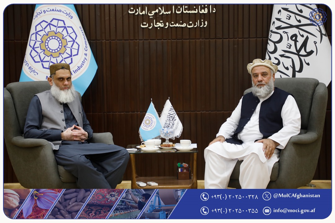 Afghanistan and Pakistan Talks on Enhancing Trade and Transit