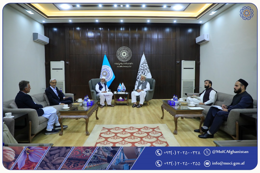 دیدار سرپرست وزارت صنعت و تجارت با مؤسس مؤسسه بین‌المللی روپانی